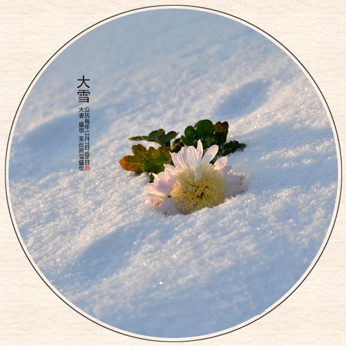 1639054411689813.jpeg 微信图片_20211209204432.jpg
